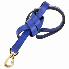 Daisy Collection Dog Leash Cobalt Blue/Gold