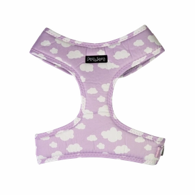 Dan & Sam - Dog Harness (Dreamer) - X-Small