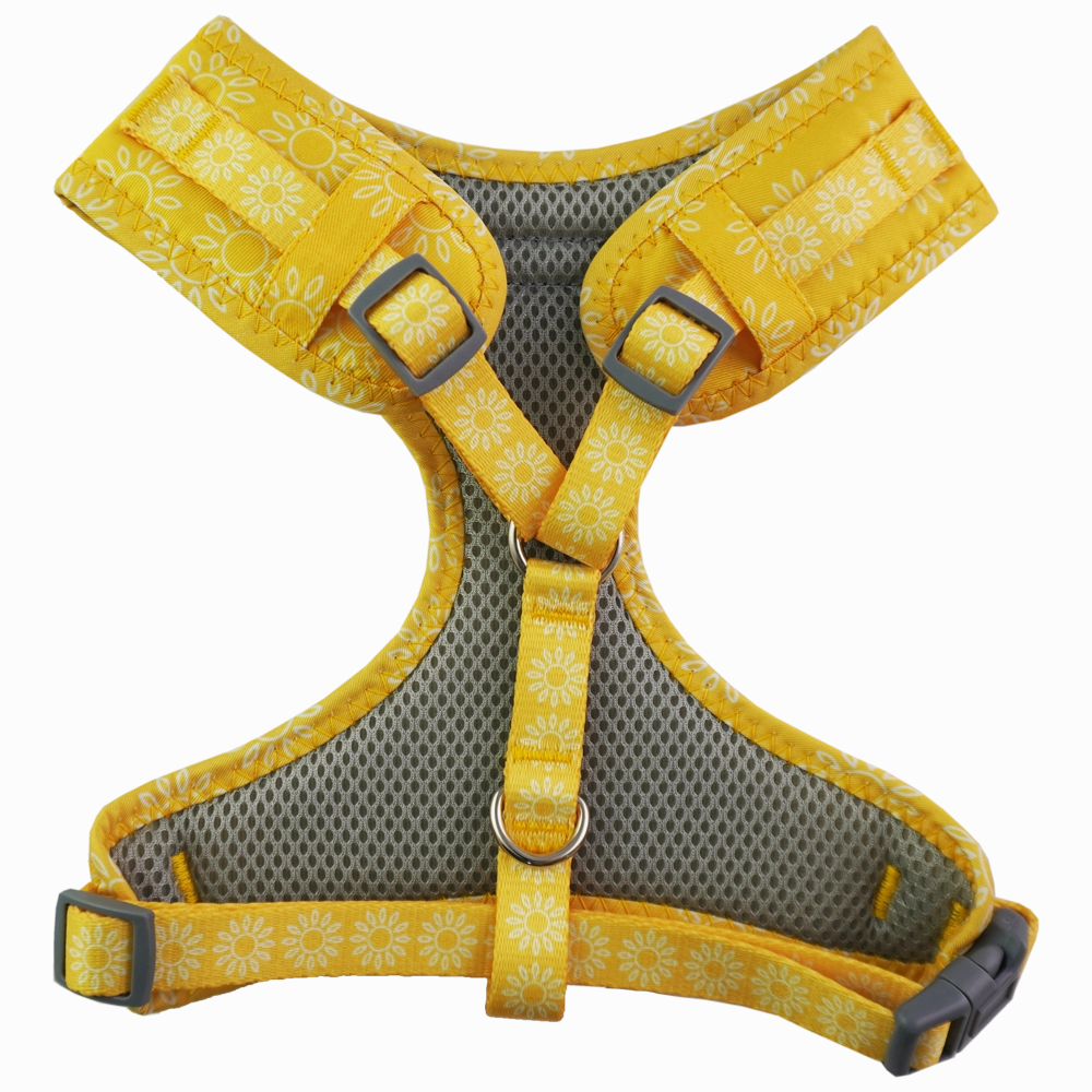 Dan & Sam - Dog Harness (Wild Sunflower)