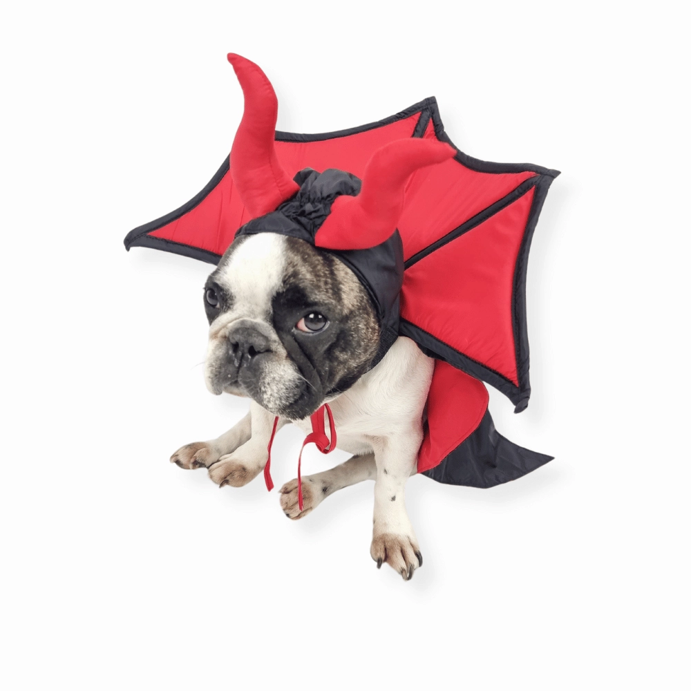 Devil Vampire Dog Costume