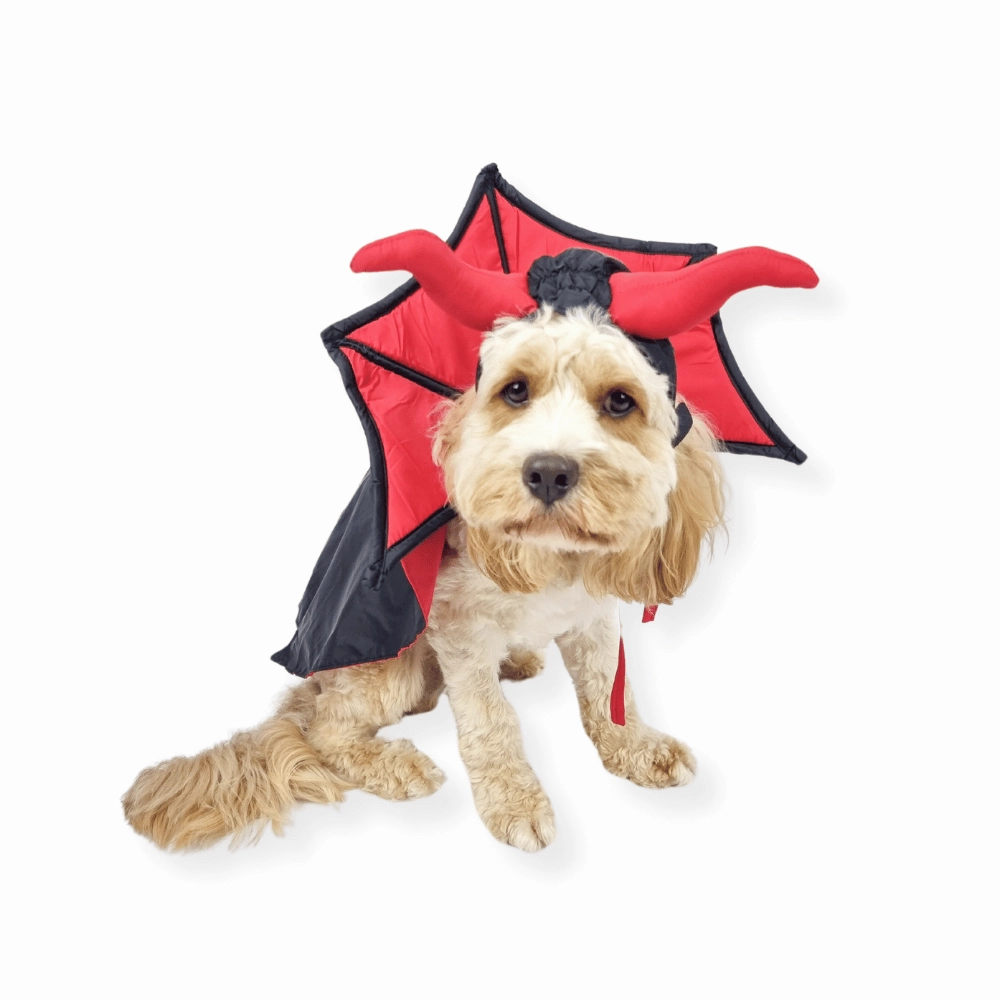 Devil Vampire Dog Costume