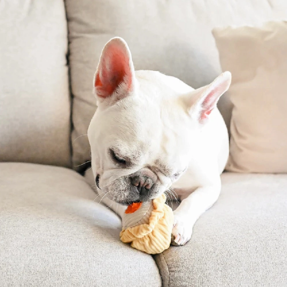 Dim Sum Pop Set of 2 Pcs Dog Toy