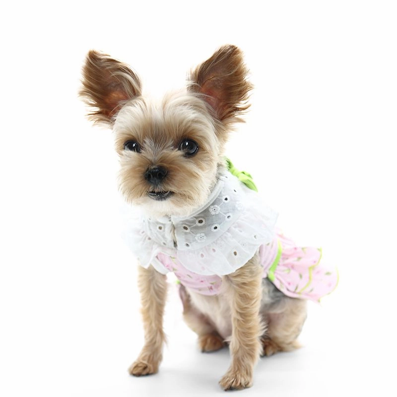 Ditsy Floral Dog Dress