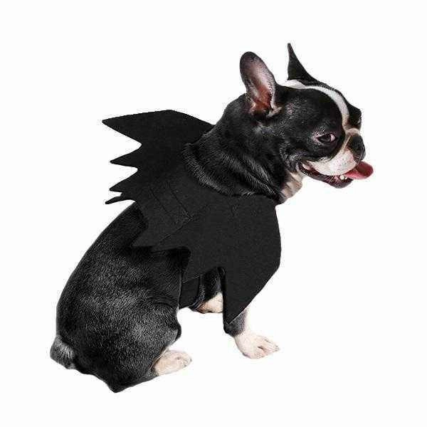 Dog Bat Wings Halloween Costume
