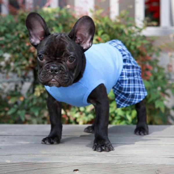 Dog Boxer Shorts Blue Cotton