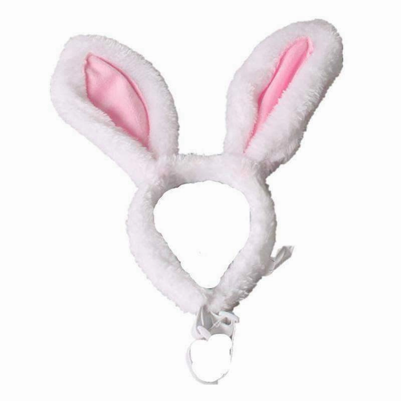 Dog Bunny Ears