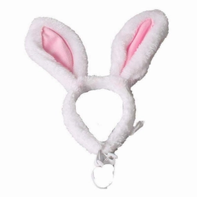 Dog Bunny Ears