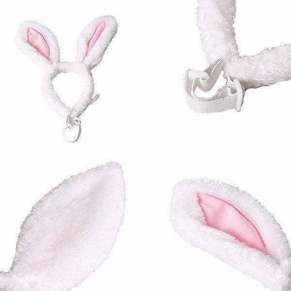 Dog Bunny Ears