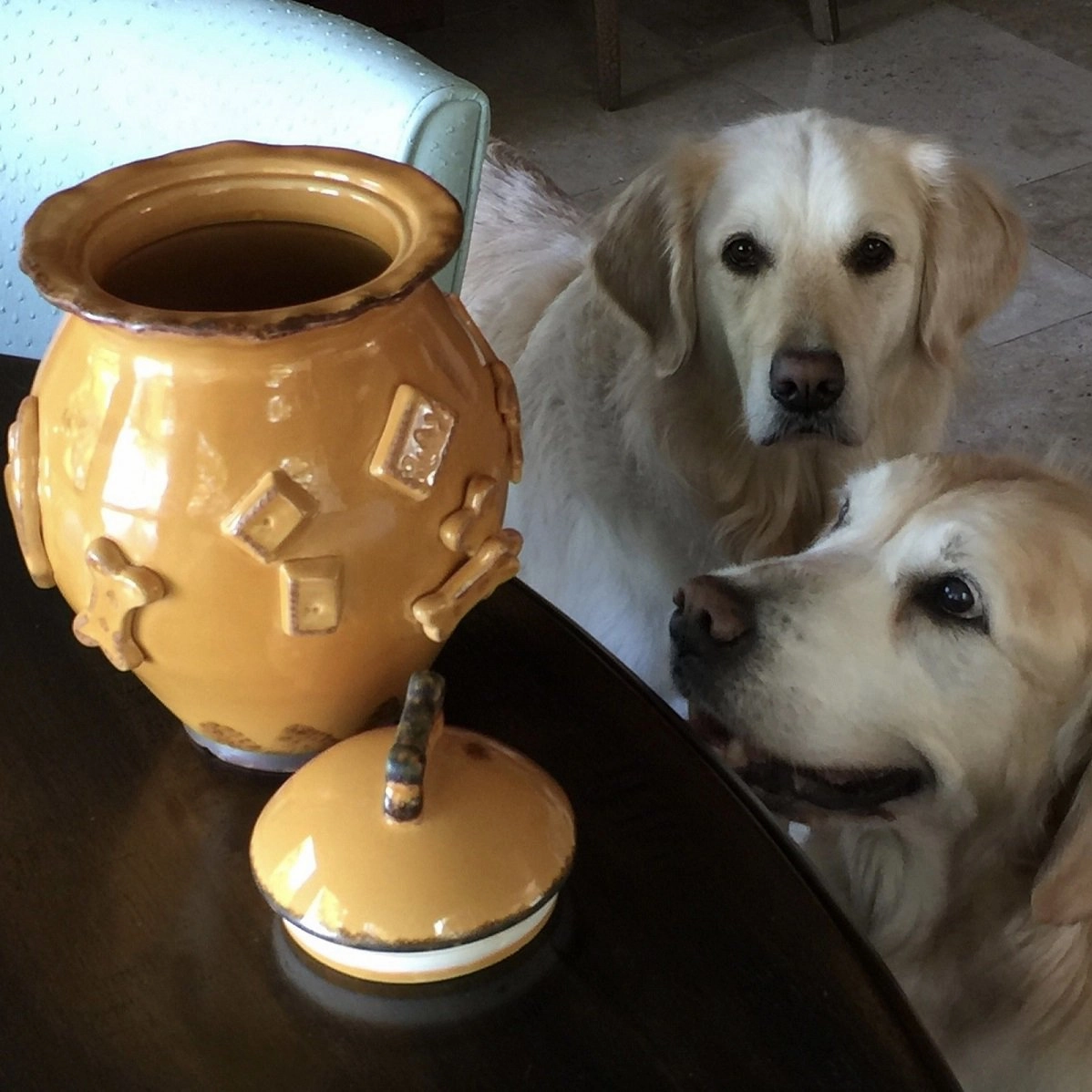 Dog Treat Jar Caramel