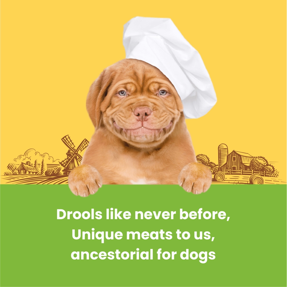 Dogfest Turkey & Flax Seeds Training Dog Treats
