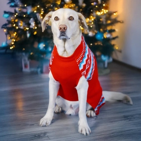 Dogobow Aztec Knit Sweater for Dogs and Cats (Red) (Get a Bow Free)