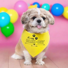 Dogobow Bark Day Scarf for Dogs (Yellow) (Get a Bow Free)