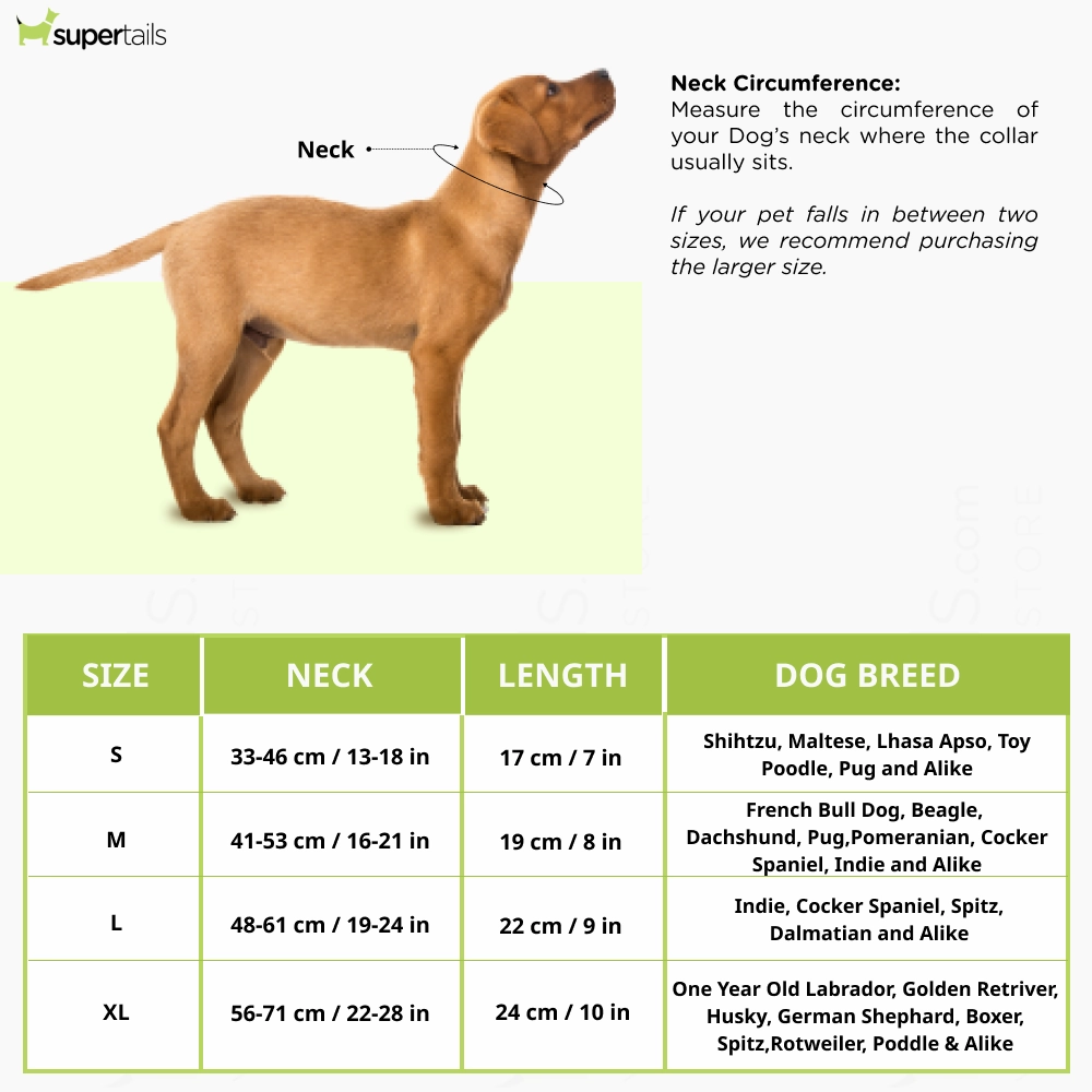 Dogobow Bark Day Scarf for Dogs (Yellow) (Get a Bow Free)