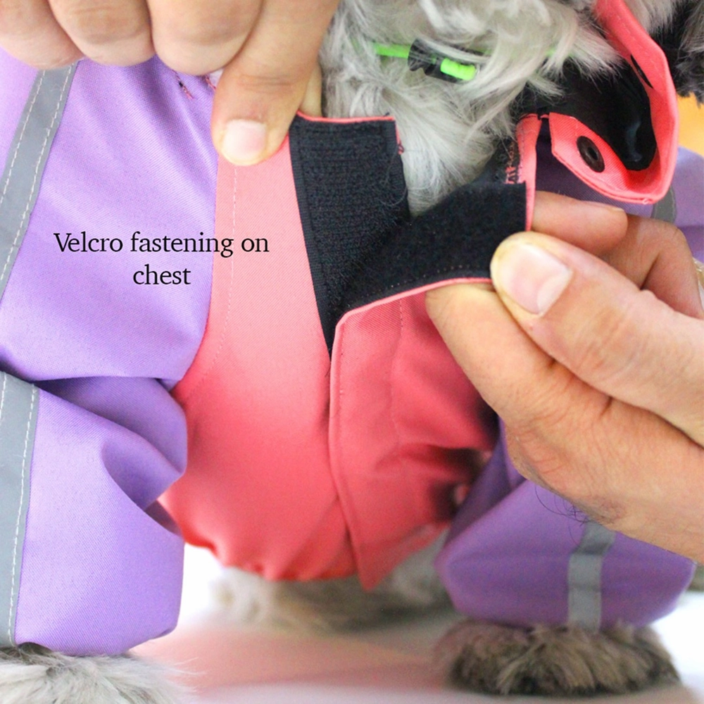 Dogobow Bubble's Dino Raincoat for Dogs and Cats (Pink/Purple)