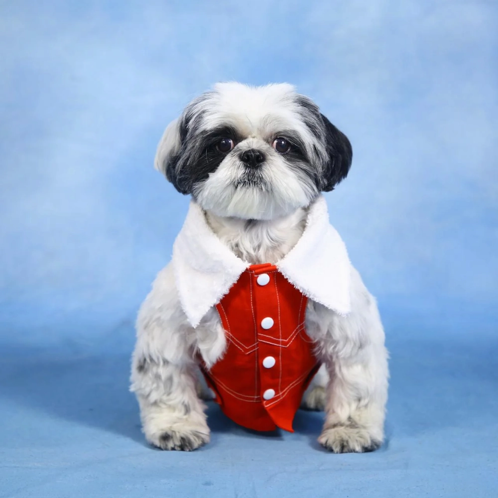Dogobow Denim Jacket for Dogs and Cats (Red) (Get a Bow Free)