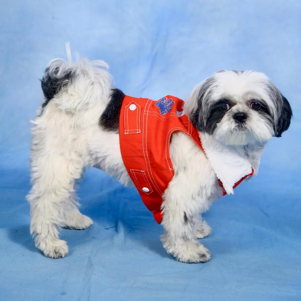 Dogobow Denim Jacket for Dogs and Cats (Red) (Get a Bow Free)