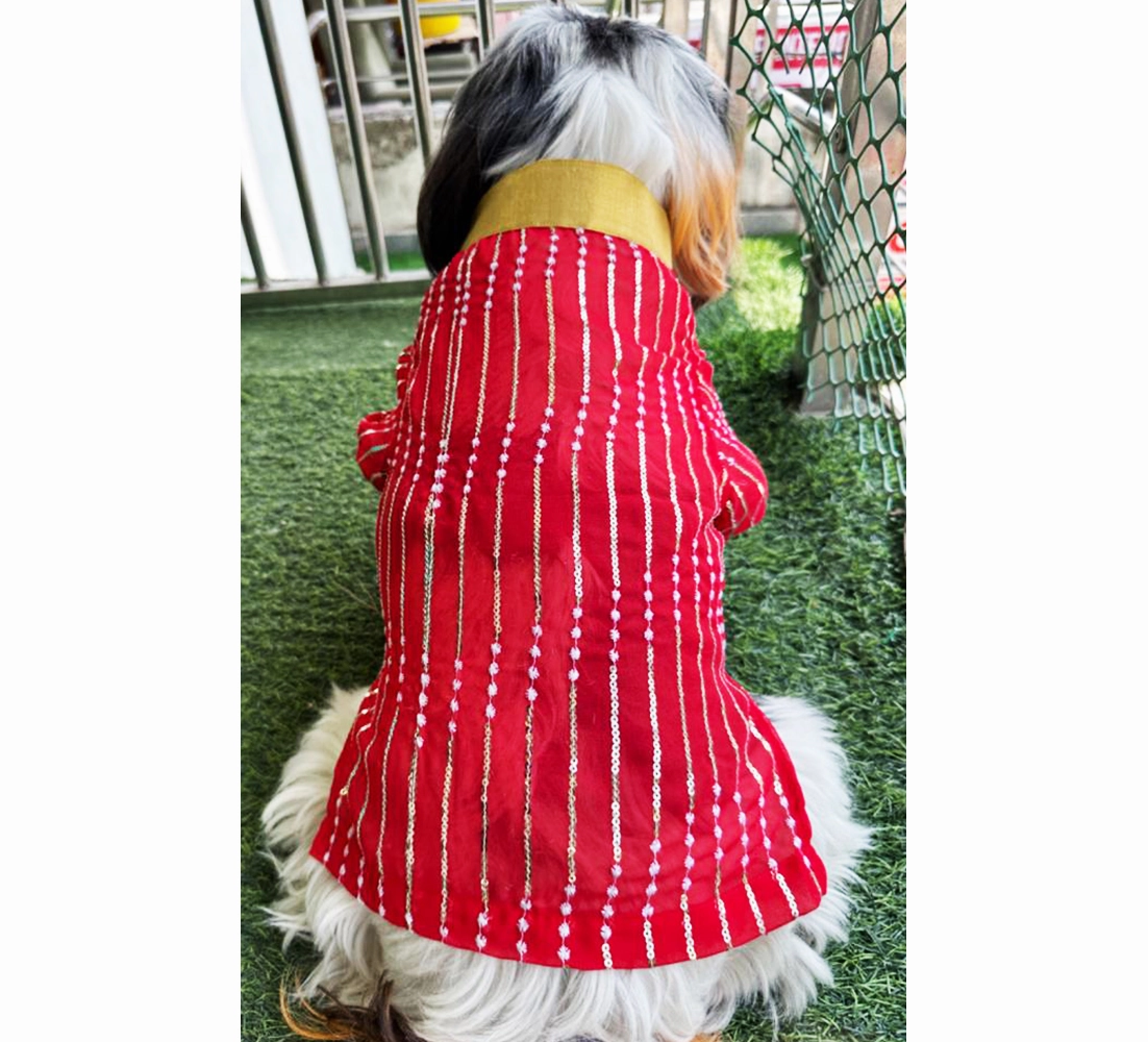 Dogobow Georgette Embroidered Kurta for Dogs and Cats (Red)