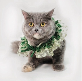 Dogobow Layered Neck Tutu for Dogs and Cats (Green) (Get a Bow Free)