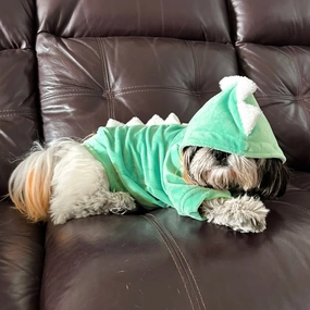 Dogobow The Good Dino Hoodie for Dogs and Cats (Teal Green/White) (Get a Bow Free)