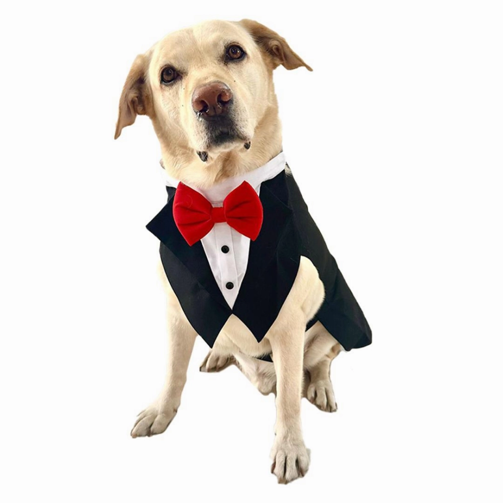 Dogobow Tuxedo Suit for Dogs and Cats (Black) (Get a Bow Free)