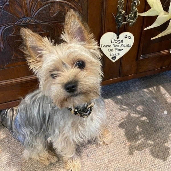 Dogs Leave Paw Prints On Your Heart - Hanging Heart Plaque