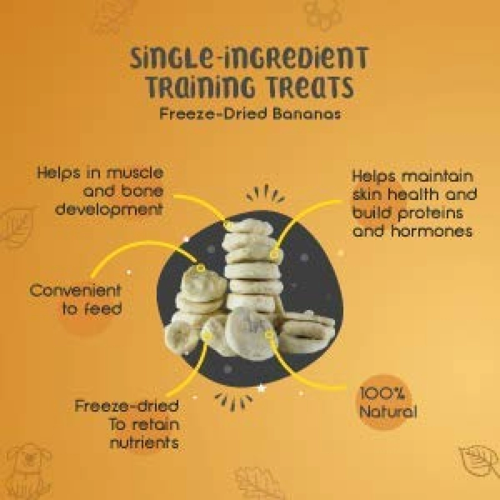 Dogsee Crunch Freeze Dried Banana Dog Treats