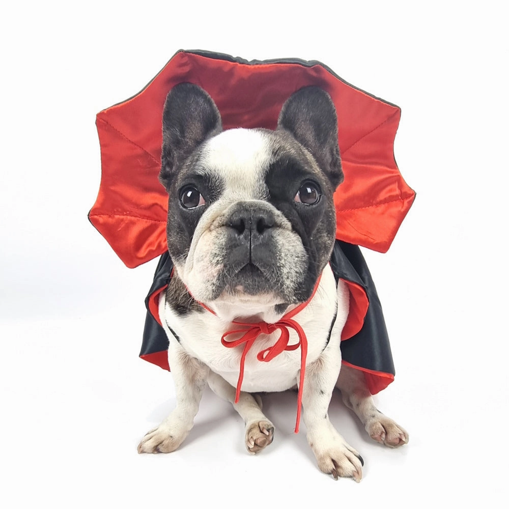 Dracula Cape Dog Costume