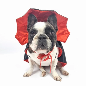 Dracula Cape Dog Costume