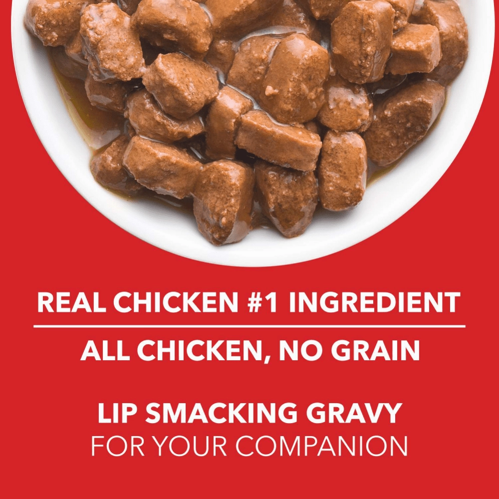 Drools Focus Super Premium Dry Food and Chicken & Liver Chunks in Gravy Adult Dog Wet Food Combo