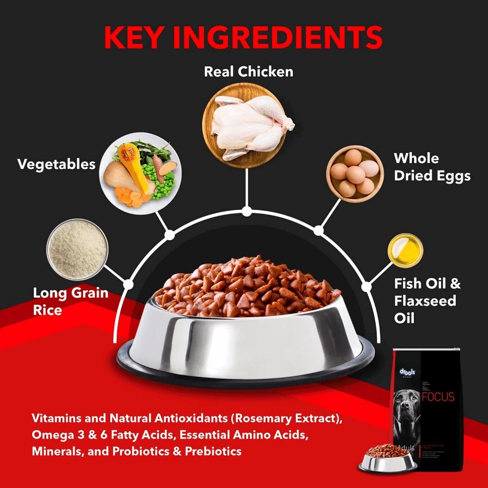 Drools Focus Super Premium Dry Food and Chicken & Liver Chunks in Gravy Adult Dog Wet Food Combo