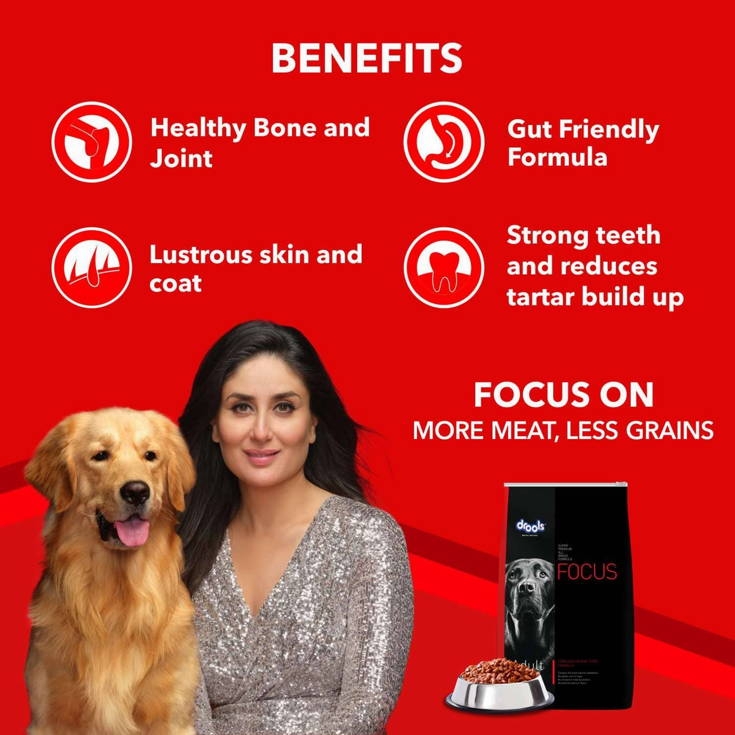 Drools Focus Super Premium Dry Food and Chicken & Liver Chunks in Gravy Adult Dog Wet Food Combo