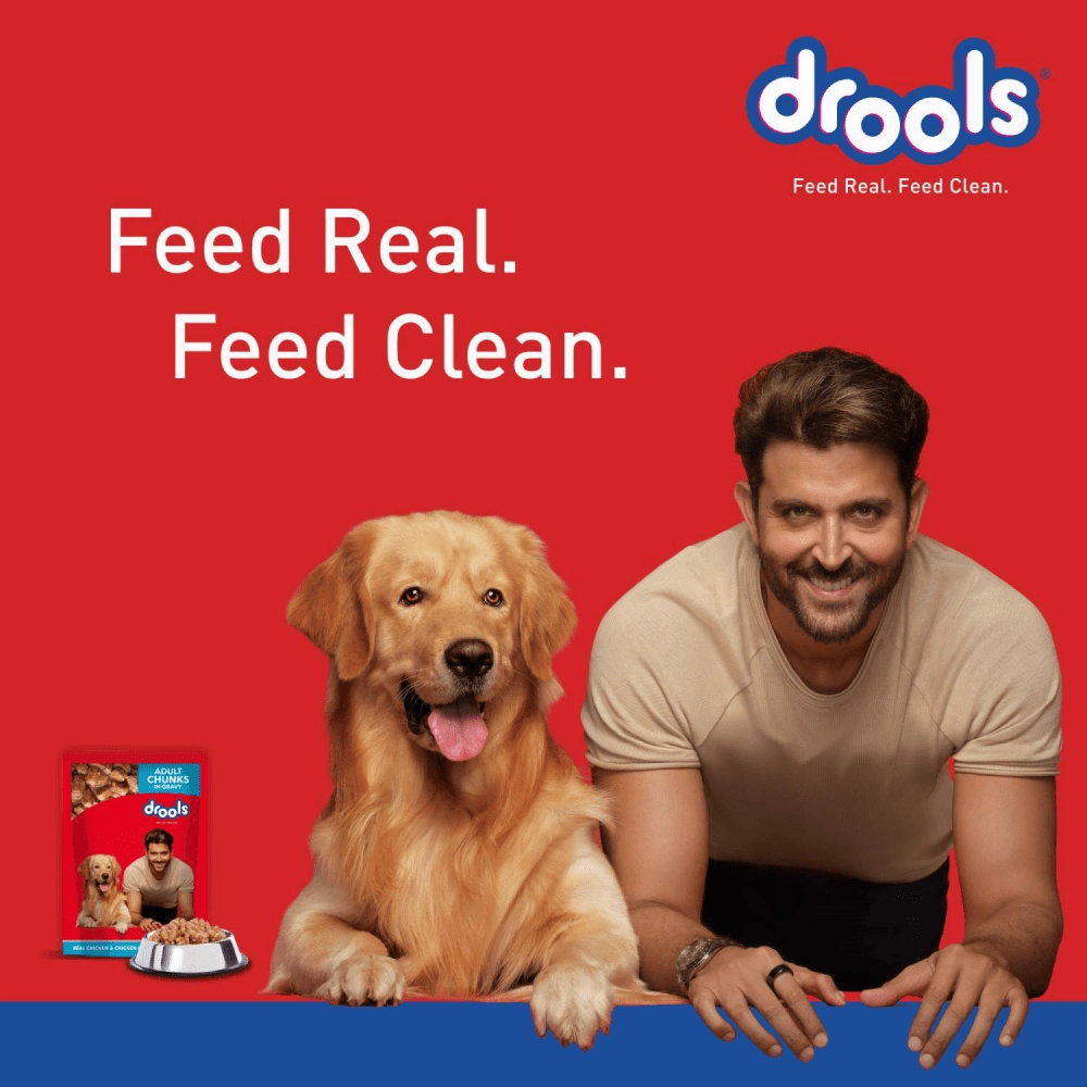 Drools Focus Super Premium Dry Food and Chicken & Liver Chunks in Gravy Adult Dog Wet Food Combo