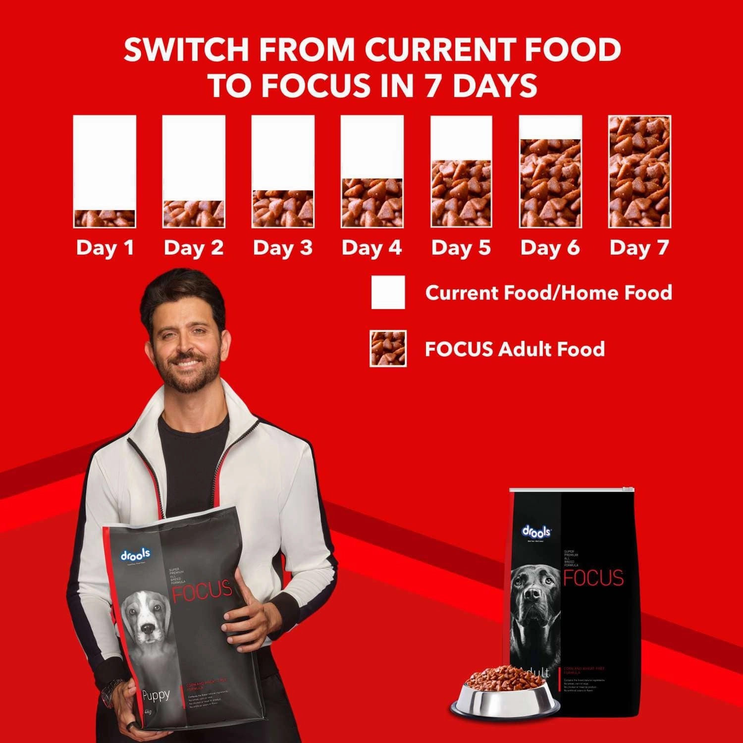 Drools Focus Super Premium Dry Food and Chicken & Liver Chunks in Gravy Adult Dog Wet Food Combo