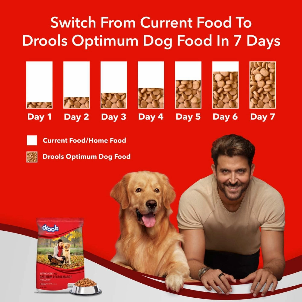 Drools Optimum Performance Adult Dog Dry Food and Chip Chops Chicken Tenders Dog Treats Combo