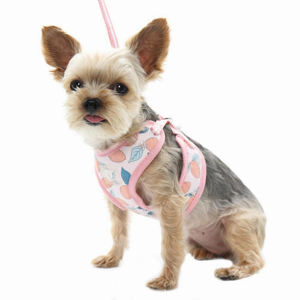 Easy Go Dog Harness Lemon Pink