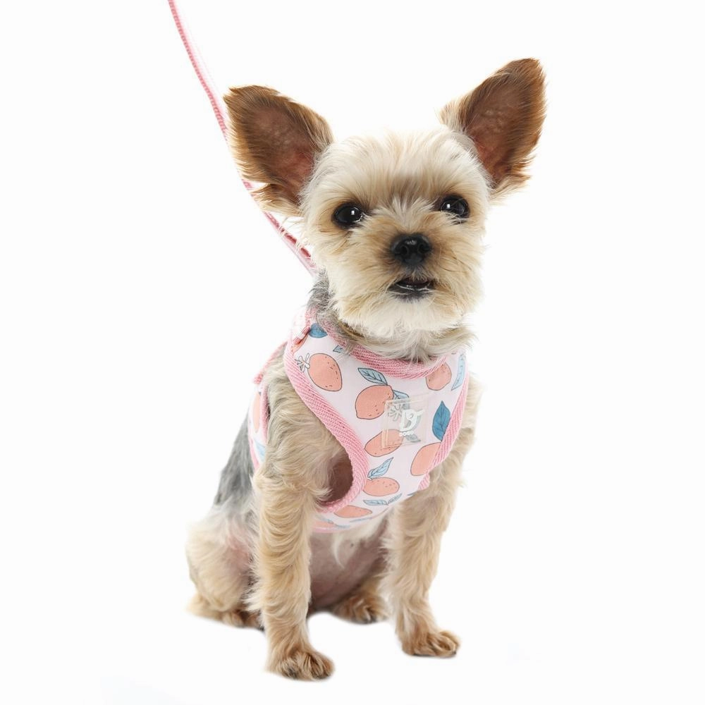 Easy Go Dog Harness Lemon Pink