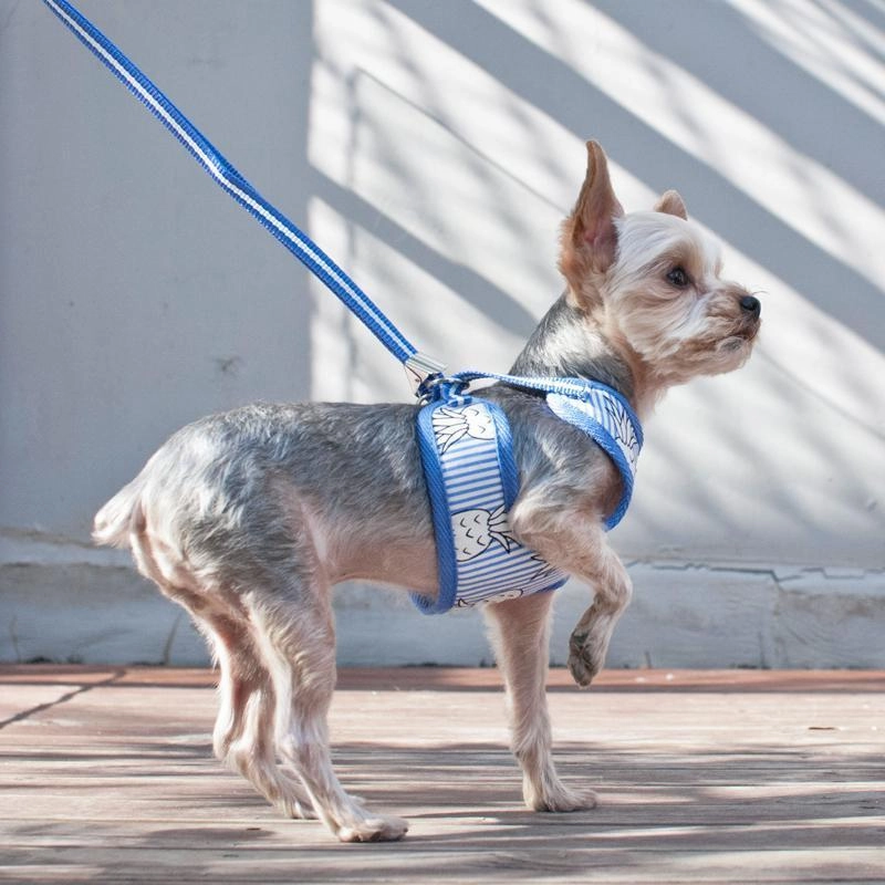 Easy Go Pineapple Blue Dog Harness
