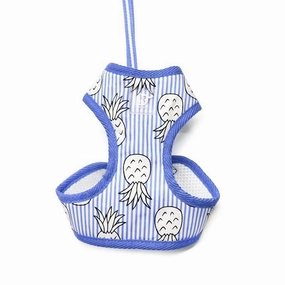Easy Go Pineapple Blue Dog Harness