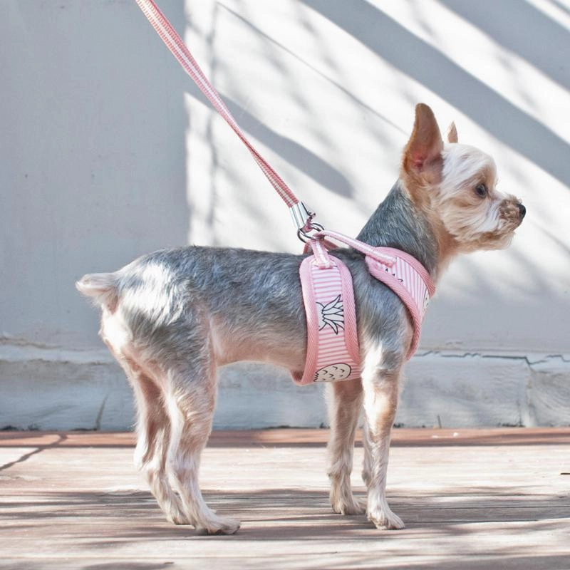 Easy Go Pineapple Pink Dog Harness