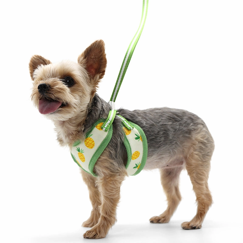 Easy Go Pineapple Yellow Dog Harness
