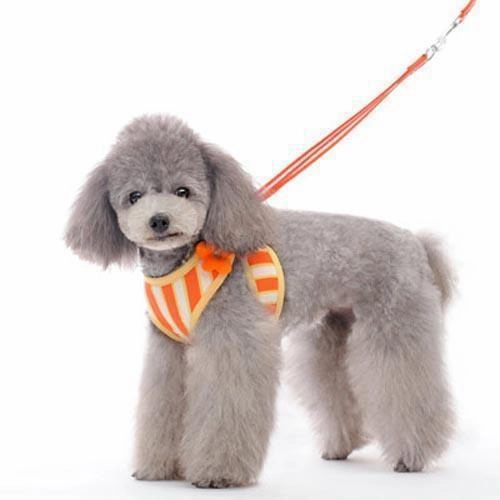 Easy Go Sweet Flower Dog Harness Orange