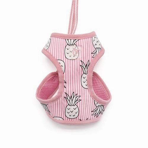 EasyGO Pineapple Pink Harness