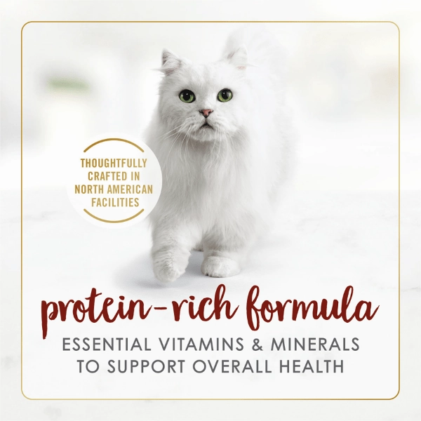 Fancy Feast Pate Beef Flavour Feast Canned Cat Food