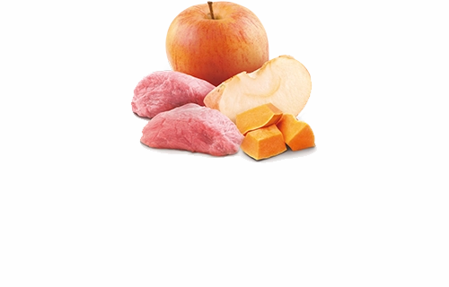 Farmina N&D Pumpkin Wild Boar, Pumpkin & Apple Canned Dog Food