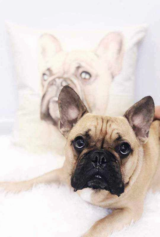 Fawn French Bulldog Throw Cushion