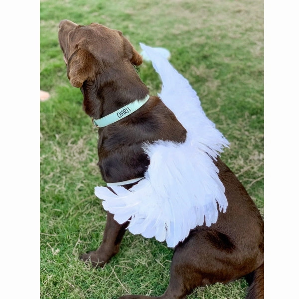 Feather Angel Wings Costume