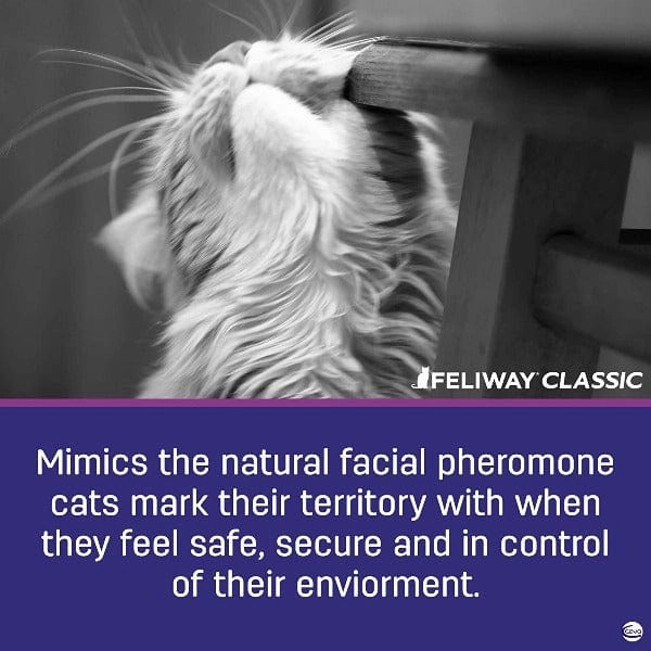 FELIWAY CLASSIC Spray for Cats