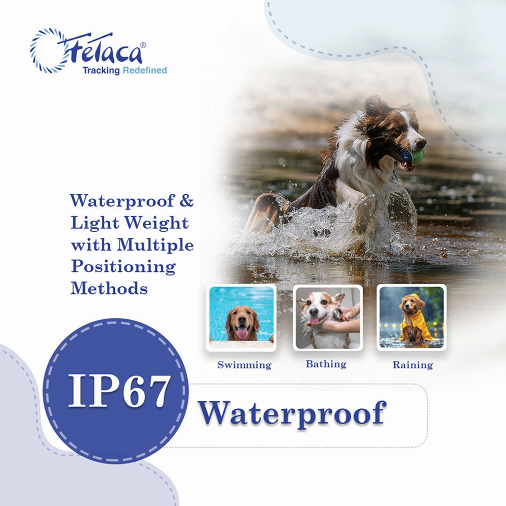 FeTaca Smart 4G Waterproof GPS Tracker & Activity with Lifetime Free Tracking & 1 Year Data SIM Subscription for Dogs & Cats (Black)