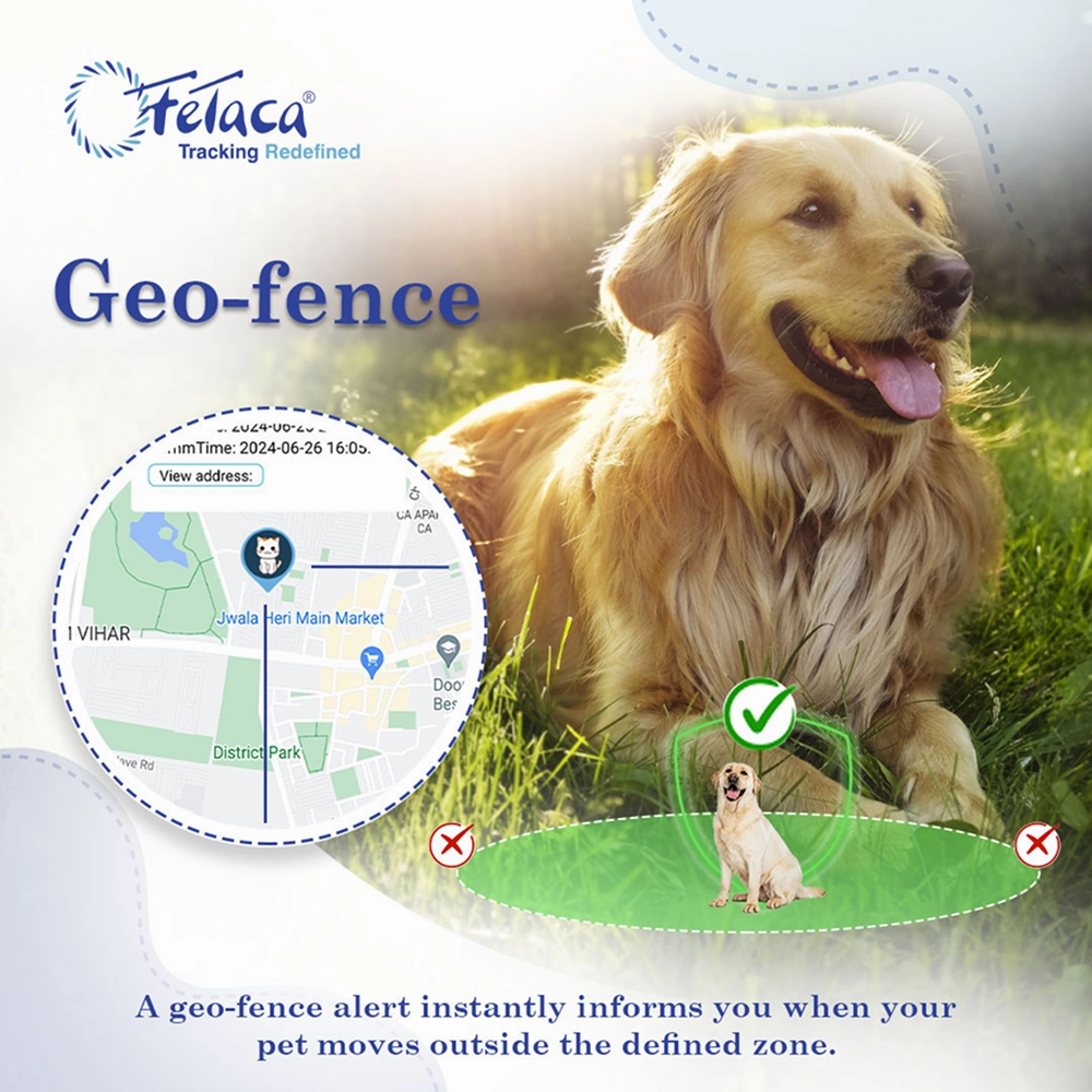 FeTaca Smart 4G Waterproof GPS Tracker & Activity with Lifetime Free Tracking & 1 Year Data SIM Subscription for Dogs & Cats (Black)