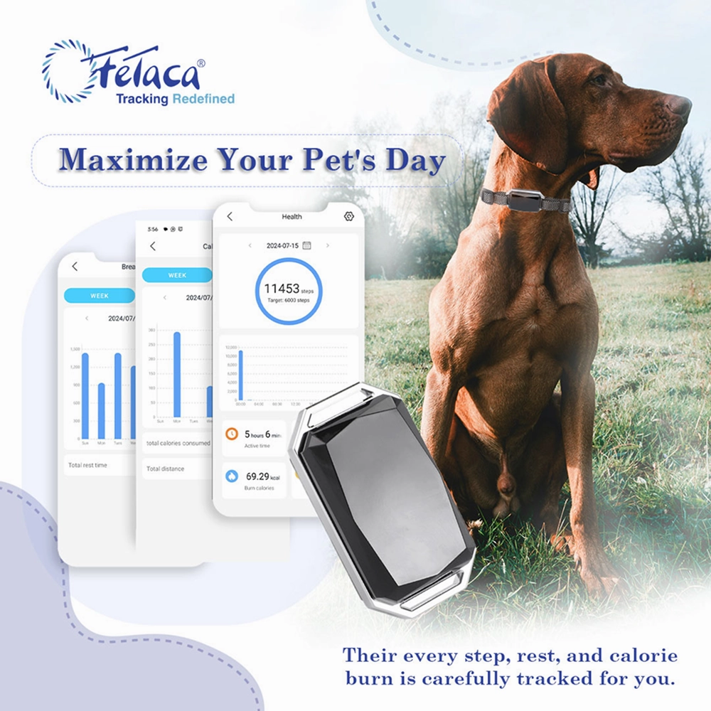 FeTaca Smart 4G Waterproof GPS Tracker & Activity with Lifetime Free Tracking & 1 Year Data SIM Subscription for Dogs & Cats (Black)